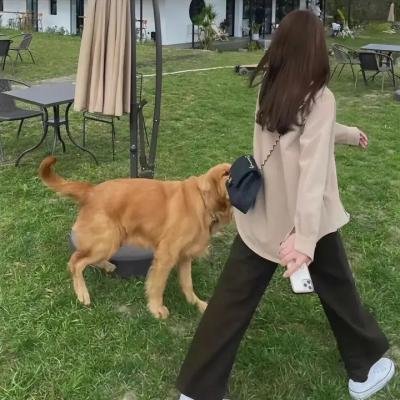 风流女教师
